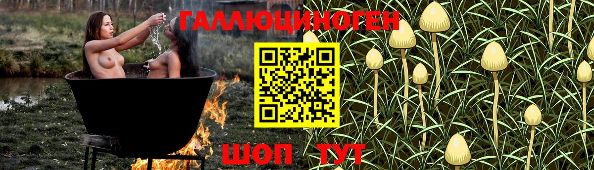 Галлюциногенные грибы GOLDEN TEACHER  Вход с VPN  Александров  Галлюциногенные грибы мицелий 